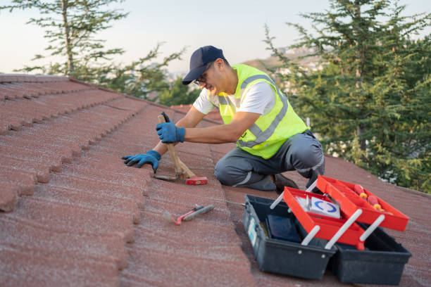 Best Green or Eco-Friendly Roofing Solutions  in USA